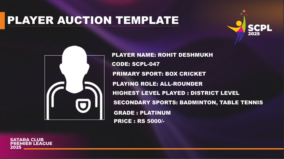 Description for Image 8